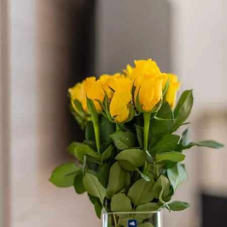 Appartement B&a - Center Of