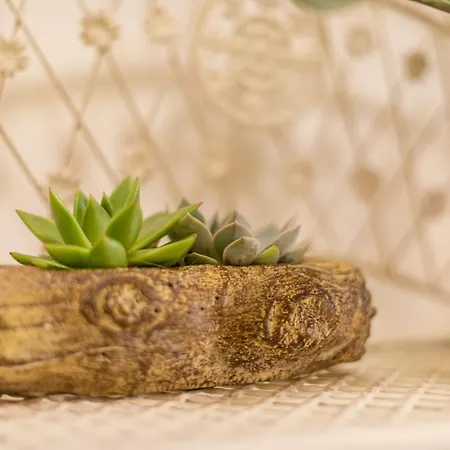 Appartamento B&a - Center Of Spalato