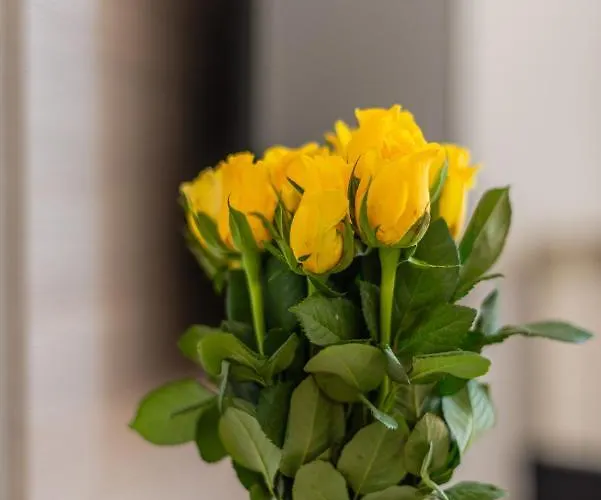 Διαμέρισμα B&a - Center Of